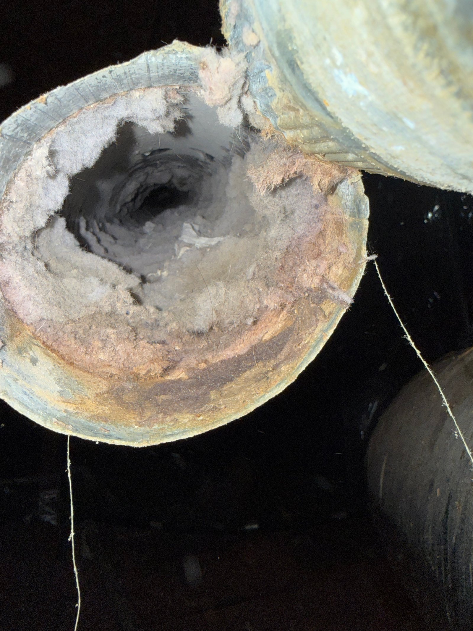 Dryer vent cleaning service in Cypress