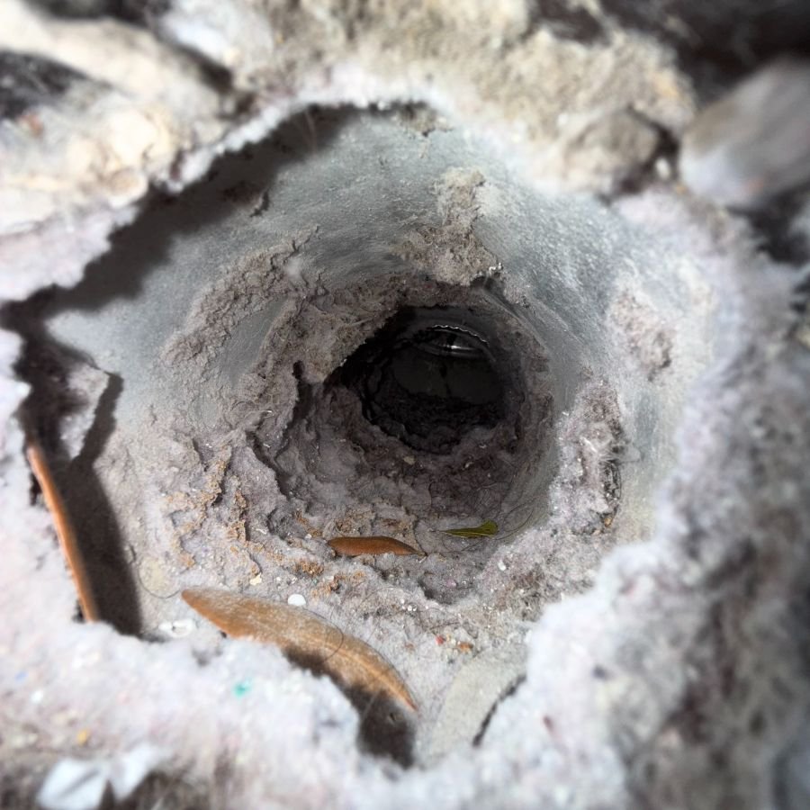 Dryer Vent Cleaning Service