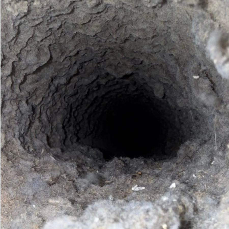 Dryer vent before cleaning